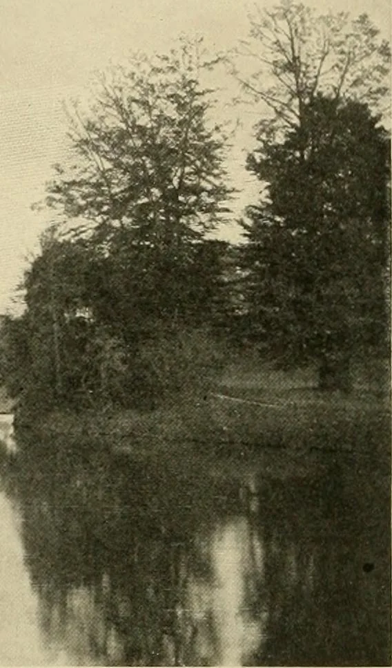 An illustration from More famous homes of Great Britain and their stories, 1902, leaf 219