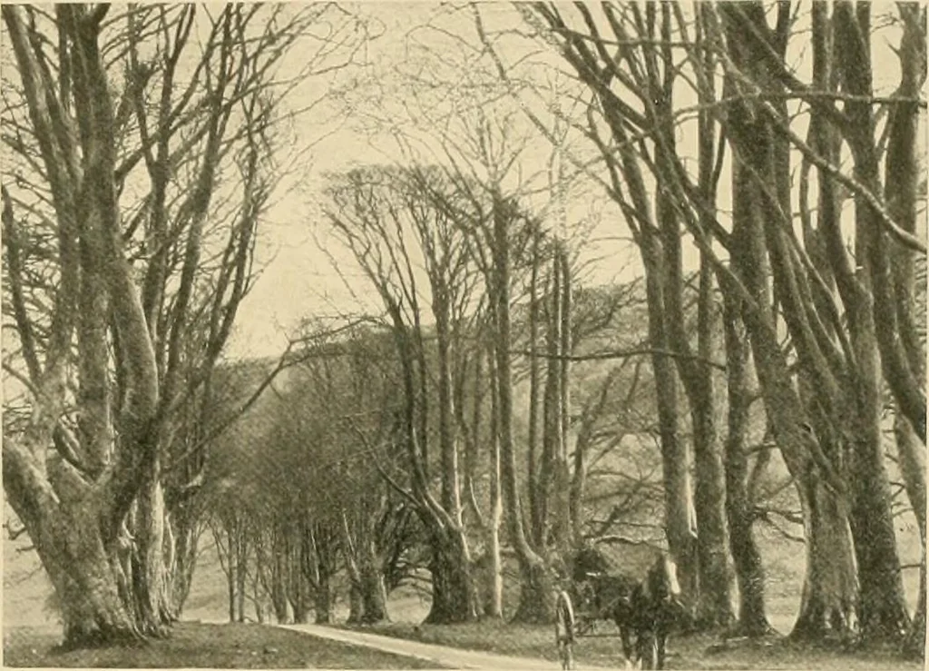 An illustration from More famous homes of Great Britain and their stories, 1902, leaf 358