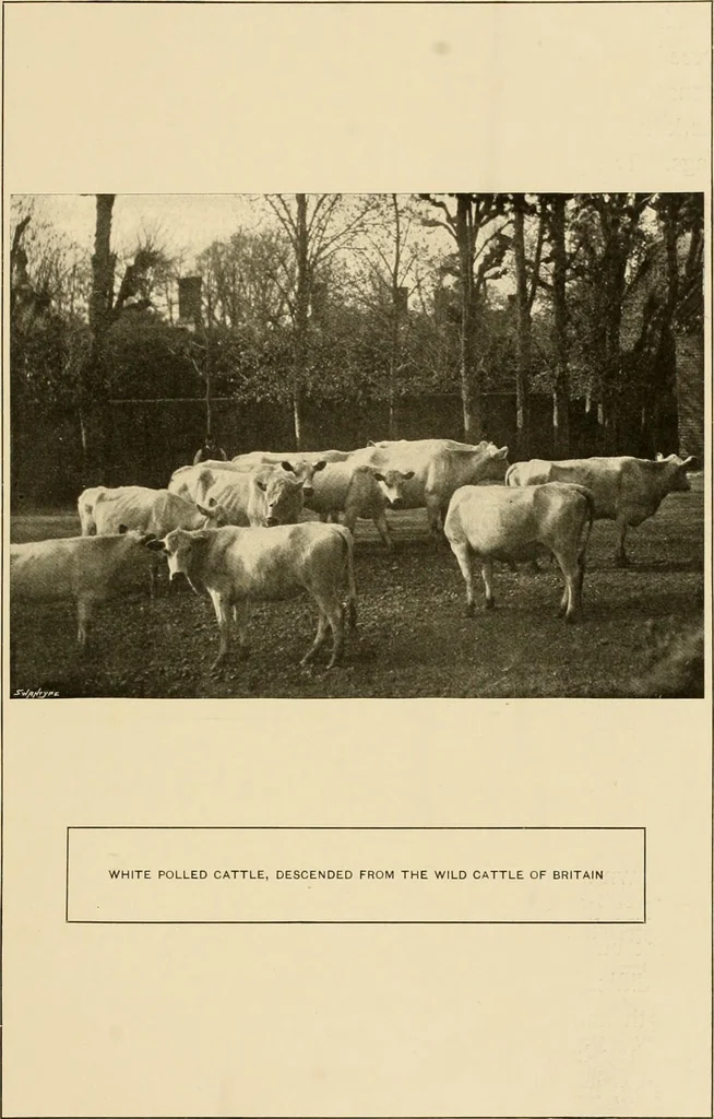 An illustration from More famous homes of Great Britain and their stories, 1902, leaf 58