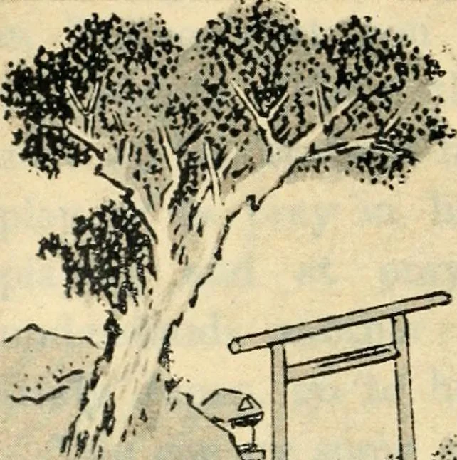An illustration from More queer things about Japan, 1904, leaf 197