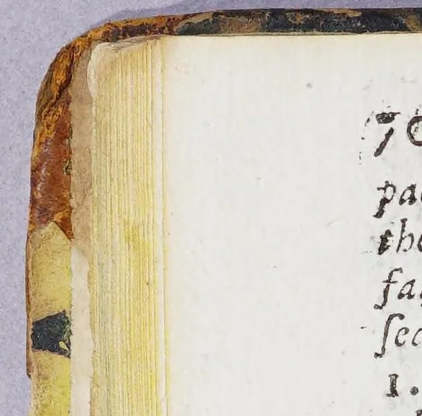 An illustration from More wonders of the invisible world: or, The wonders of the invisible world, display'd in five parts. Part. I. An account of the sufferings of Margaret Rule, written by the Reverend Mr. C.M. P. II. Several letters to the author, &c. And his reply relating to witchcraft. P. III. The differences between the inhabitants of Salem Village, and Mr. Parris their minister, in New-England. P. IV. Letters of a gentleman uninterested, endeavouring to prove the received opinions about witchcraft to be orthodox. With short essays to their answers. P. V. A short historical account of matters of fact in that affair. To which is added, a postscript relating to a book intitled, the life of Sir William Phips. Collected by Robert Calef, merchant, of Boston in New-England. Licensed and entred according to order, 1700, leaf 86