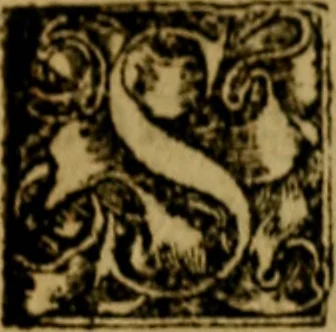 An illustration from Moriae encomium, id est, Stulticiae laudatio, ludicra declamatione tractata, 1540, leaf 334