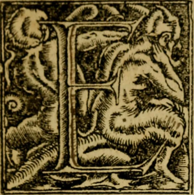 An illustration from Moriae encomium, id est, Stulticiae laudatio, ludicra declamatione tractata, 1540, leaf 6