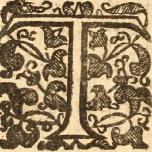 An illustration from The morning exercise methodized : or, Certain chief heads and points of the Christian religion opened and improved in divers sermons, by several ministers of the City of London, in the monthly course of the morning exercise at Giles in the Fields, May 1659, 1660, leaf 147