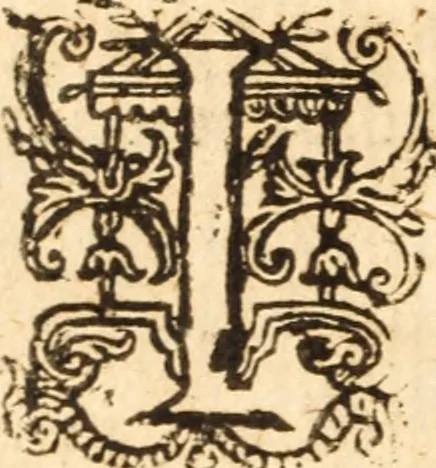An illustration from The morning exercise methodized : or, Certain chief heads and points of the Christian religion opened and improved in divers sermons, by several ministers of the City of London, in the monthly course of the morning exercise at Giles in the Fields, May 1659, 1660, leaf 215