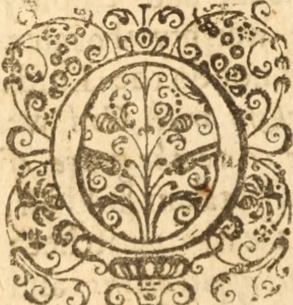 An illustration from The morning exercise methodized : or, Certain chief heads and points of the Christian religion opened and improved in divers sermons, by several ministers of the City of London, in the monthly course of the morning exercise at Giles in the Fields, May 1659, 1660, leaf 229