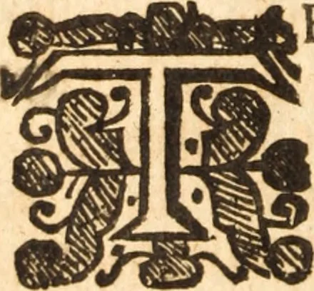 An illustration from The morning exercise methodized : or, Certain chief heads and points of the Christian religion opened and improved in divers sermons, by several ministers of the City of London, in the monthly course of the morning exercise at Giles in the Fields, May 1659, 1660, leaf 291