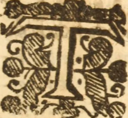 An illustration from The morning exercise methodized : or, Certain chief heads and points of the Christian religion opened and improved in divers sermons, by several ministers of the City of London, in the monthly course of the morning exercise at Giles in the Fields, May 1659, 1660, leaf 468