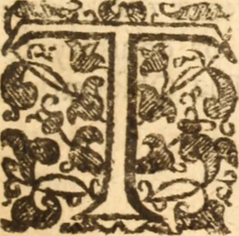 An illustration from The morning exercise methodized : or, Certain chief heads and points of the Christian religion opened and improved in divers sermons, by several ministers of the City of London, in the monthly course of the morning exercise at Giles in the Fields, May 1659, 1660, leaf 586