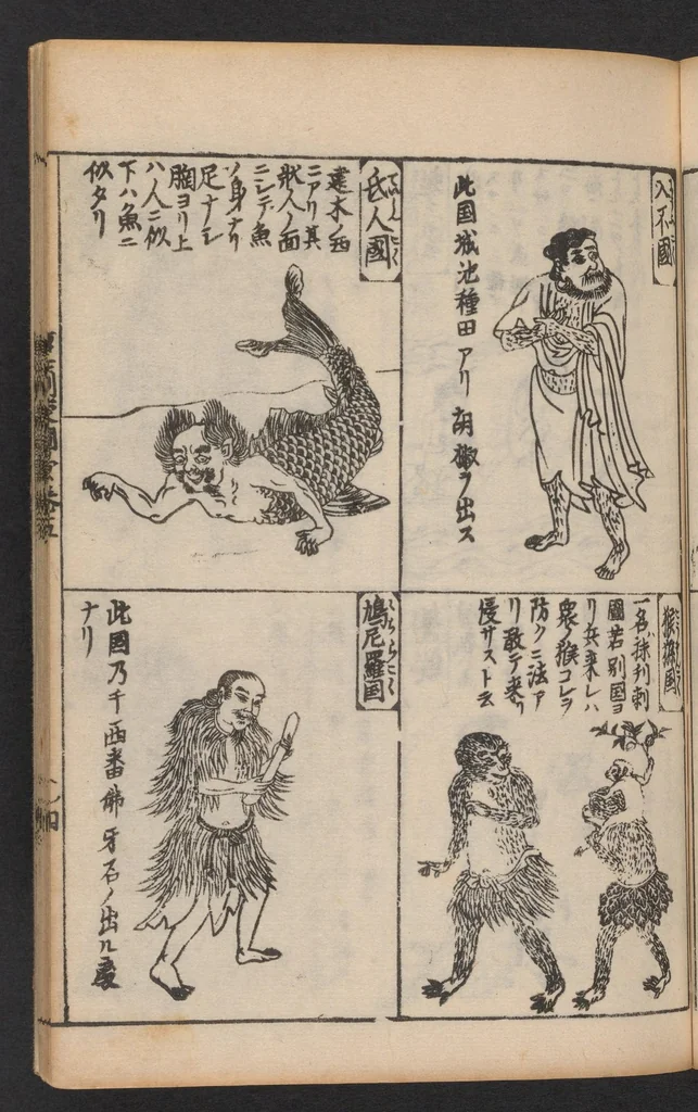 An illustration from Morokoshi kinmō zui, 1854, leaf 23