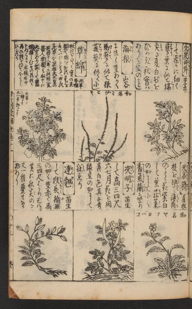 An illustration from Morokoshi kinmō zui, 1854, leaf 27