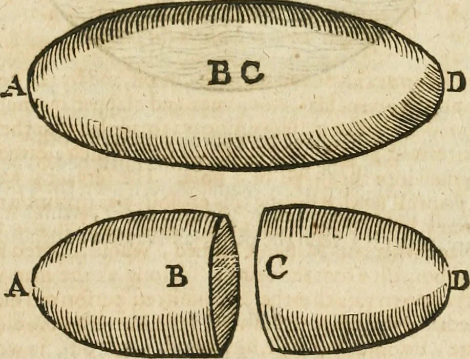An illustration from Mosaicall philosophy : grounded upon the essentiall truth or eternal sapience, 1659, leaf 264
