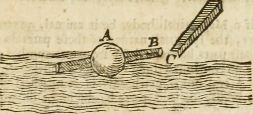 An illustration from Mosaicall philosophy : grounded upon the essentiall truth or eternal sapience, 1659, leaf 274