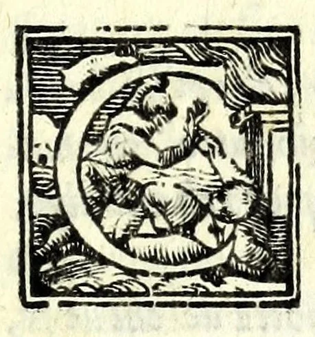 An illustration from Moschetta : comedia del famosissimo Rvzzante, nuouamente uenuta in luce, 1554, leaf 53