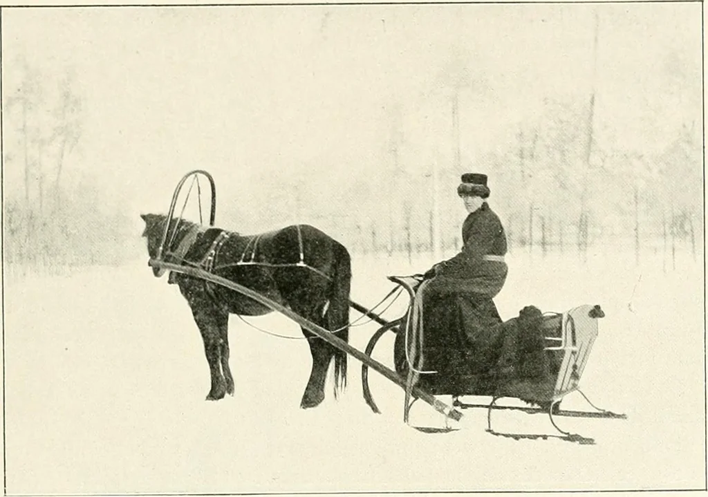 An illustration from Moscou, 1904, leaf 12
