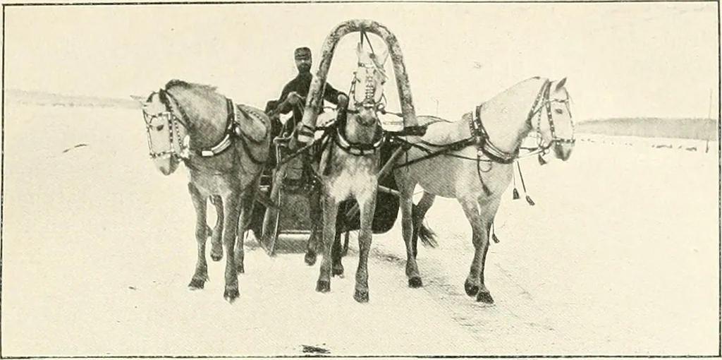 An illustration from Moscou, 1904, leaf 8
