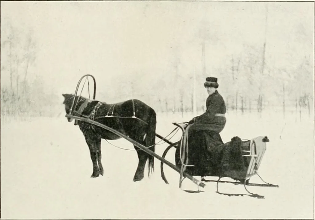 An illustration from Moscou, 1904, leaf 12