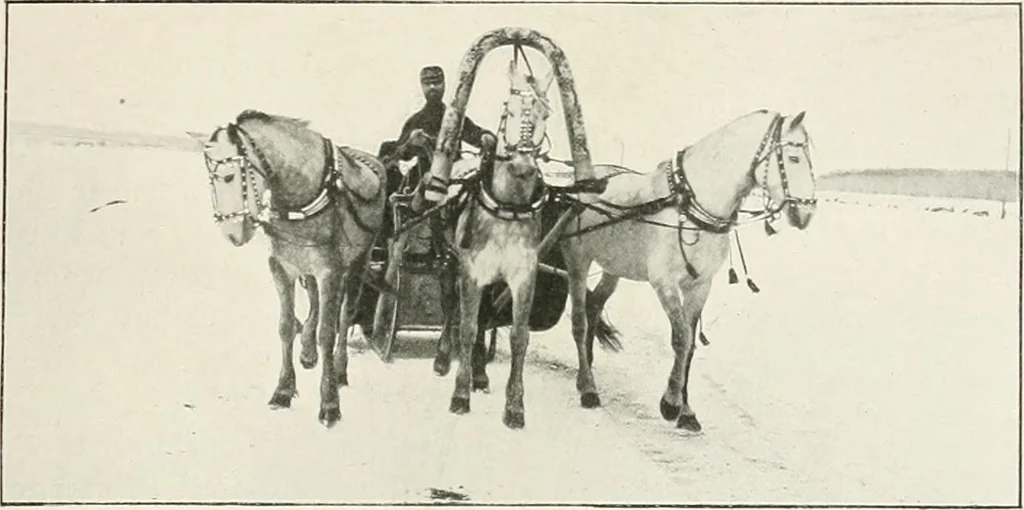An illustration from Moscou, 1904, leaf 8