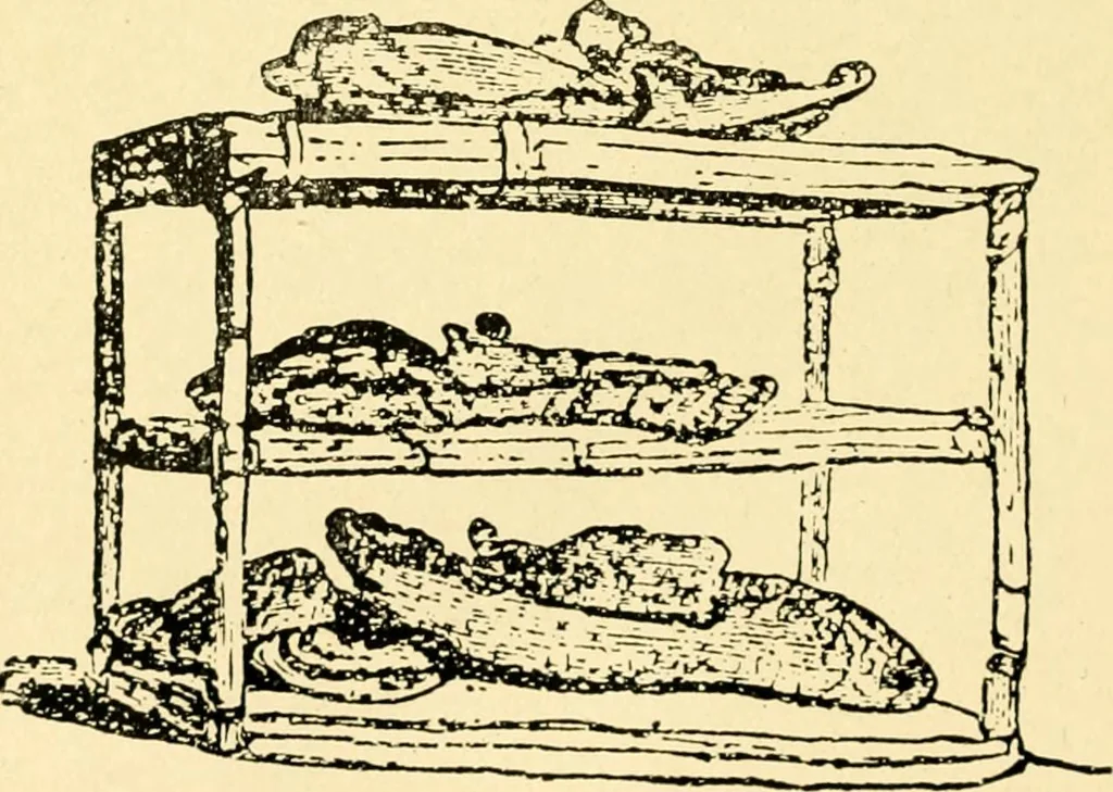 An illustration from Moses and the monuments : light from archaeology on Pentateuchal times, 1920, leaf 303