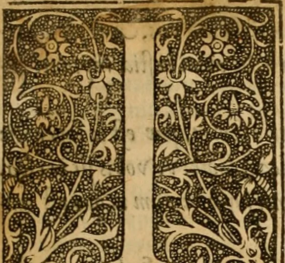 An illustration from Mosis libri V : cum Iohannis Caluini commentariis ; Genesis seorsum, reliqui quatuor in formam harmoniae digesti, 1563, leaf 14