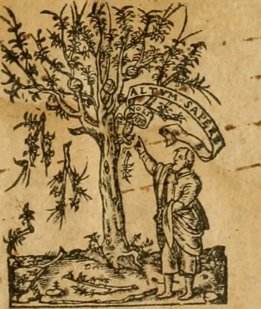 An illustration from Mosis libri V : cum Iohannis Caluini commentariis ; Genesis seorsum, reliqui quatuor in formam harmoniae digesti, 1563, leaf 4
