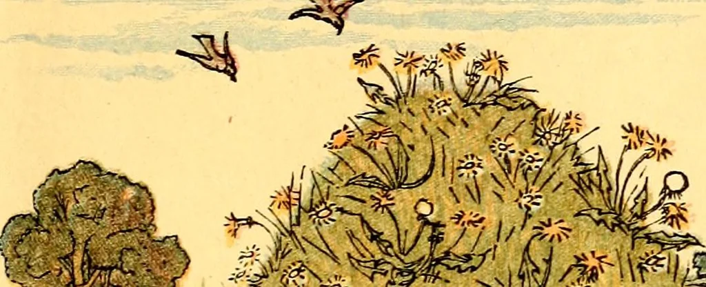 An illustration from Mother Goose , or The old nursery rhymes, 1890, leaf 14