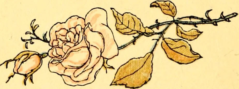 An illustration from Mother Goose , or The old nursery rhymes, 1890, leaf 55