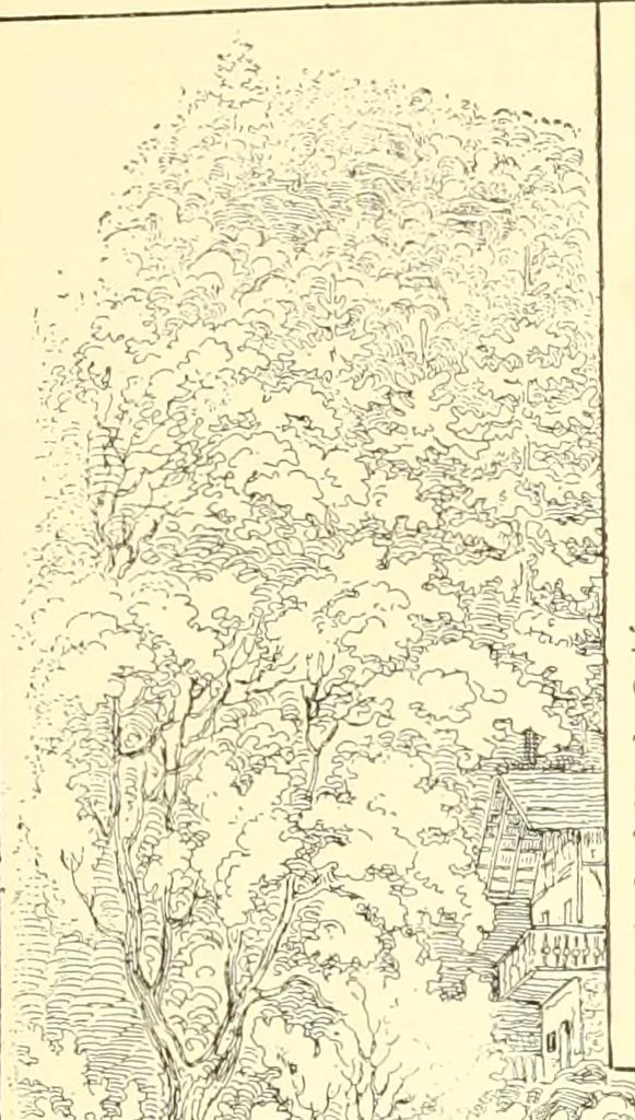 An illustration from Mother-play and nursery songs;, 1906, leaf 18