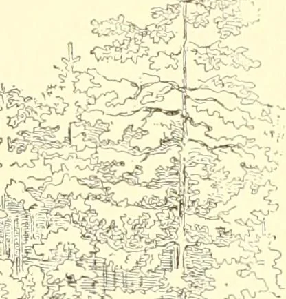 An illustration from Mother-play and nursery songs;, 1906, leaf 18