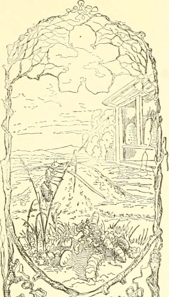 An illustration from Mother-play and nursery songs;, 1906, leaf 68