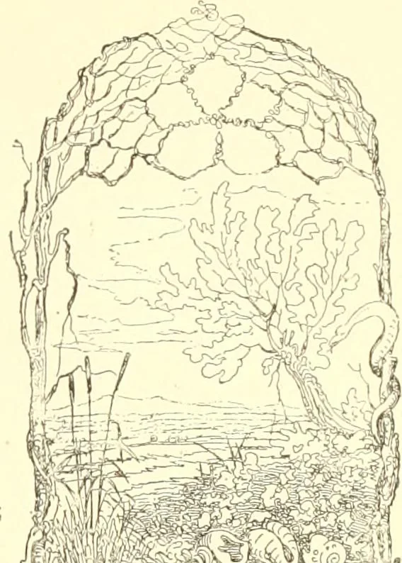 An illustration from Mother-play and nursery songs;, 1906, leaf 68