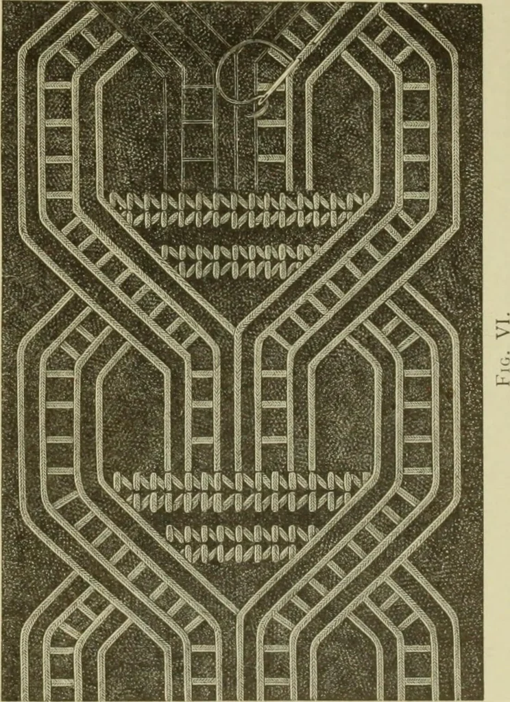 An illustration from Motifs de Broderie copte, 1880, leaf 5