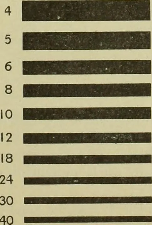 An illustration from Motifs de Broderie copte, 1880, leaf 8