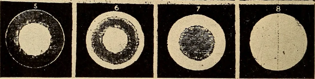 An illustration from Motion picture electricity, 1914, leaf 271