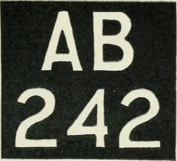 An illustration from Motors and motor-driving;, 1904, leaf 516