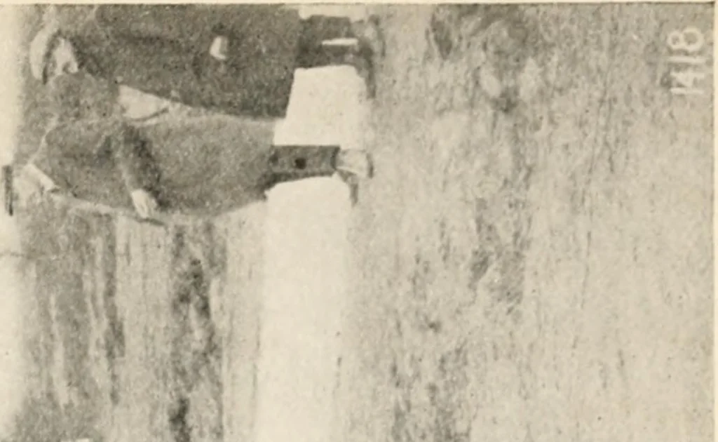 An illustration from Motor transports in war, 1914, leaf 114