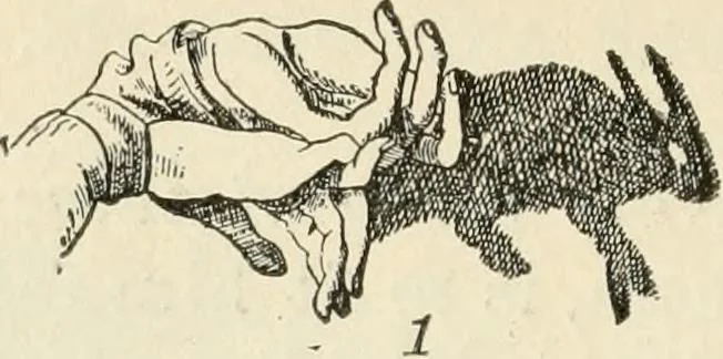 An illustration from The mottoes and commentaries of Friedrich Froebel's Mother play, 1902, leaf 231