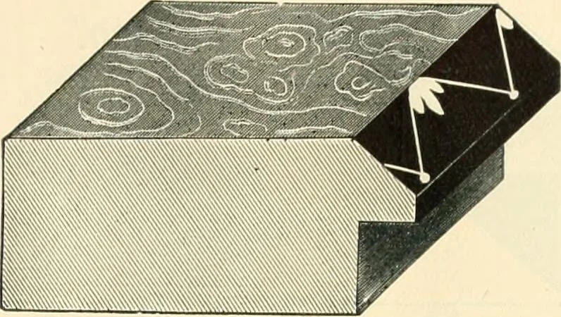 An illustration from Mouldings, mirrors, pictures and frames., 1884, leaf 10