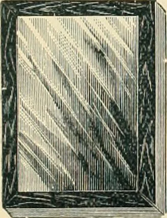 An illustration from Mouldings, mirrors, pictures and frames., 1884, leaf 152