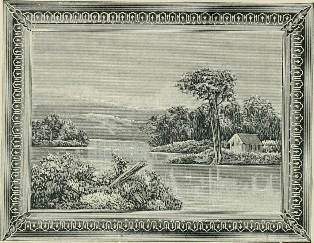 An illustration from Mouldings, mirrors, pictures and frames., 1884, leaf 165