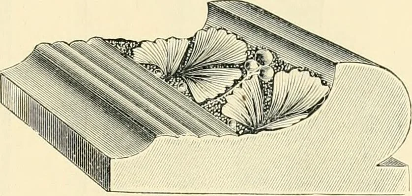 An illustration from Mouldings, mirrors, pictures and frames., 1884, leaf 20