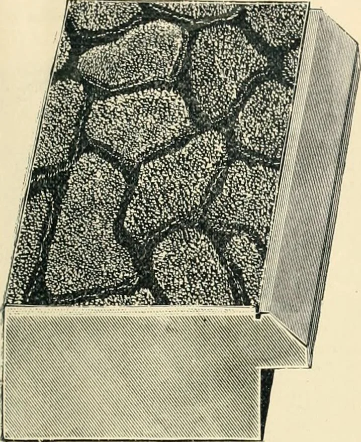 An illustration from Mouldings, mirrors, pictures and frames., 1884, leaf 26