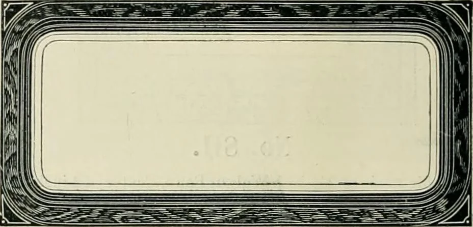 An illustration from Mouldings, mirrors, pictures and frames., 1884, leaf 49