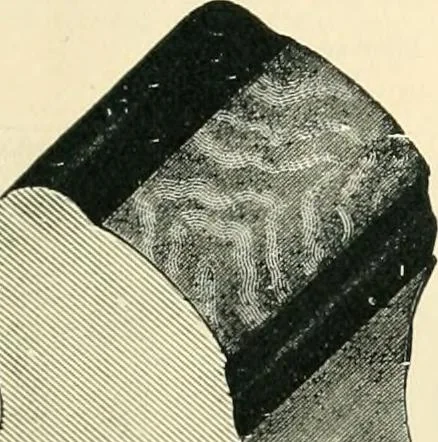 An illustration from Mouldings, mirrors, pictures and frames., 1884, leaf 6