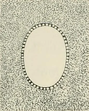 An illustration from Mouldings, mirrors, pictures and frames., 1884, leaf 63