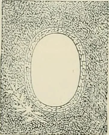 An illustration from Mouldings, mirrors, pictures and frames., 1884, leaf 63