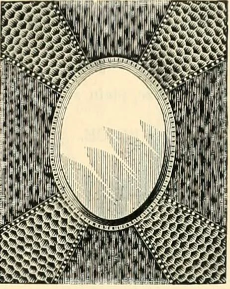 An illustration from Mouldings, mirrors, pictures and frames., 1884, leaf 74
