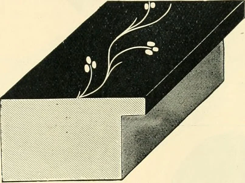 An illustration from Mouldings, mirrors, pictures and frames., 1884, leaf 8