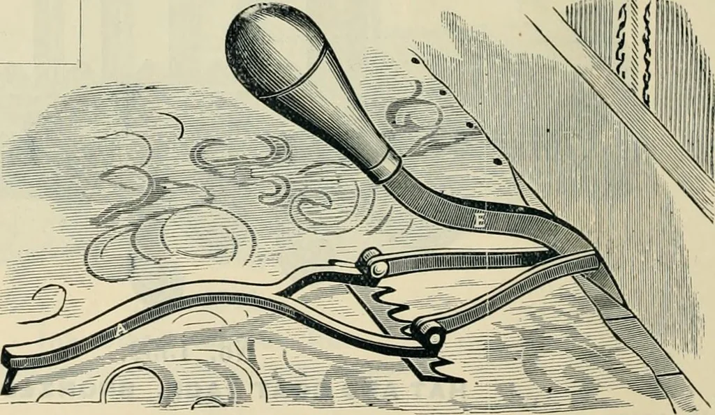An illustration from Mouldings, mirrors, pictures and frames., 1884, leaf 97