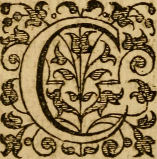 An illustration from The Mount of Calvarie, 1597, leaf 209